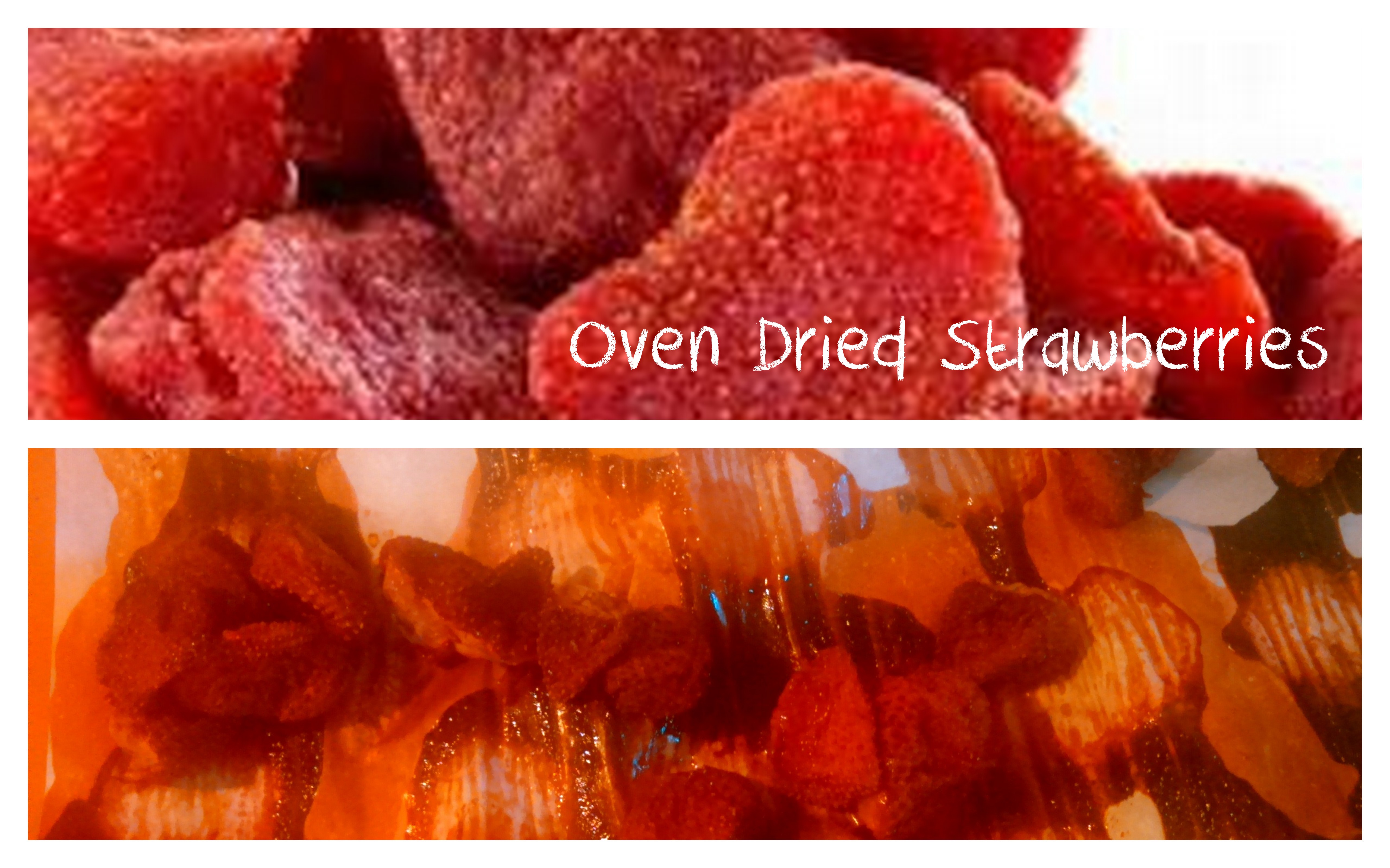 Dried Strawberries Fail